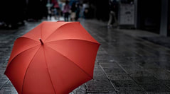 Free Umbrella Insurance Quote